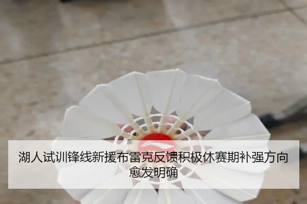 湖人试训锋线新援布雷克反馈积极休赛期补强方向愈发明确